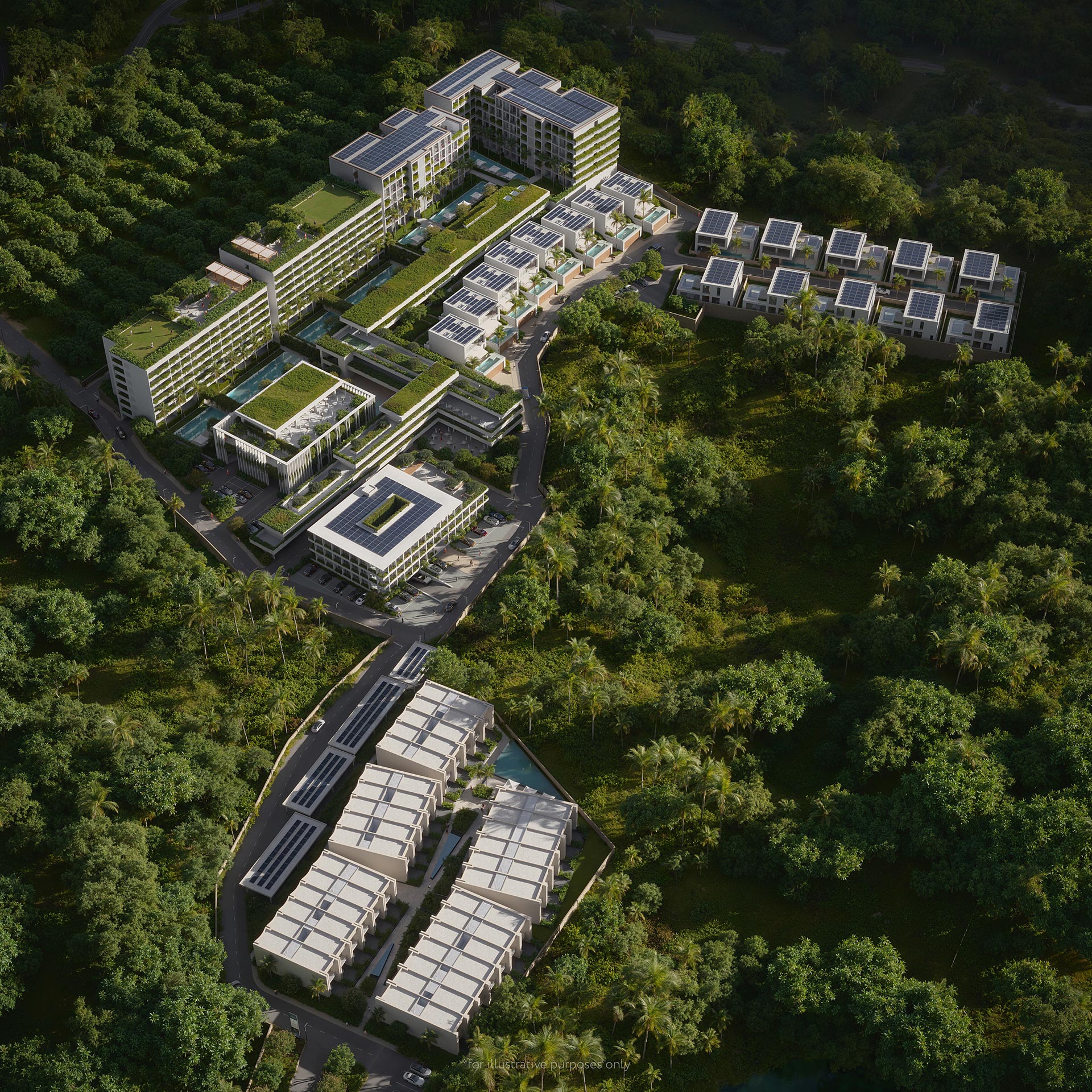 The Momentum Phuket